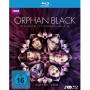 Tatiana Maslany / Jordan Gavaris / Kristian Bruun / + - Orphan Black-Staffel 4 [DE-Version, Regio 2/B]