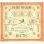 Peter Erskine New Trio - Joy Luck