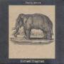 Michael Chapman - Pachyderm