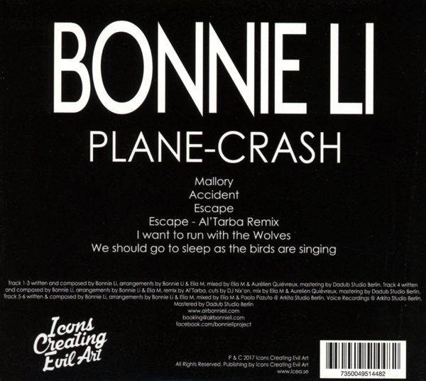 Plane Crash 1