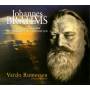 Vardo Rumessen - Klavierwerke