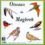 Sounds Of Nature - Birds Of North-west Africa