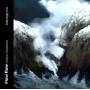Fritz Hegi Trio - Flowflow