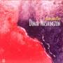 Dinah Washington - Blues For A Day-Jazz Reference