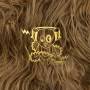 Super Furry Animals - Super Furry Animals At The BBC