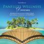 Frank Metzner - Panflute Wellness Dreams