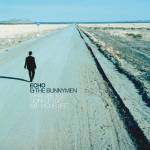 Echo & The Bunnymen - What Are You Going To Do With Your Life? (25 Year