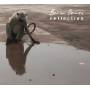 Bonson Berner - Reflection