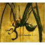 Interlace - Imago