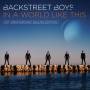 Backstreet Boys - In a World Like This(10th Anniversary Deluxe Edt.)