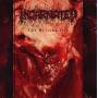 Incarnated - Try Before Die