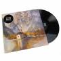 Pantha Du Prince - Black Noise