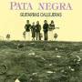 Pata Negra - Guitarras Callejeras