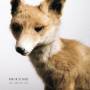 Marten De Paepe - Wait Another Year