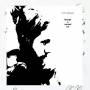 Rich Robinson - Through A Crooked Sun