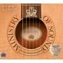 Various - Anthems Acoustic