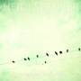 Heidi Spencer & The Rare Birds - Under Streetlight Glow