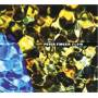 Peter Finger - Flow