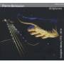 Pierre Bensusan - Altiplanos
