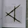 Cassels - Foreword