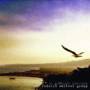 Rodolfo Group Maltese - Il Gabbiano Jonathan-Deluxe Papersleeve