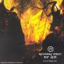 Runaway Totem - Tep Zepi