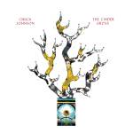 Chuck Johnson - The Cinder Grove