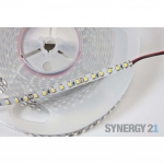 Synergy 21 Led - Flex Strip 60 KW DC24V 24W IP20 * Projektartikel*