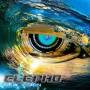 Elepho - New Vision
