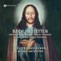 Hofstetter / Tlzer Knabenchor / Leupold / Wolf / + - Bach-Motetten