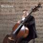 Tibor Elekes Trio - Bizalom