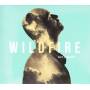 Niels Geusebroek - Wildfire