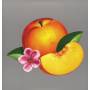 Phoenix - Bankrupt!