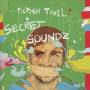 The Pictish Trail - Secret Soundz Vol.1 & 2