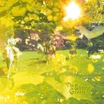 The Essex Green - Everything Is Green (Lime Vinyl)