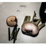 Motorpsycho - Still Life With Eggplant (white Vinyl)