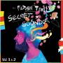 The Pictish Trail - Secret Soundz Vol.1 & 2 (gatefold)