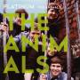Animals - Platinum