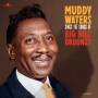 Muddy Waters - Sings the Songs of Big Bill Broonzy (180G Vinyl)