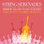 Elgar / Anima Musicae Chamber Orch - String Serenades,Vol.3