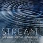 Yago Vazquez / Scott Lee / Jeff Hirshfield - Stream