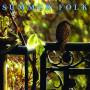 Various - Summer Folk