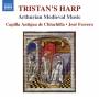 Capilla Antigua De Chinchilla / Ferrero - Tristan's Harp
