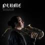 Plume - Holding On (Feat. Gregory Hutchinson)