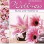 Various - Wellness-Ruhe & Harmonie Nr.2