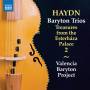 Matthew Baker / Estevan De Almeida Reis / A. Friedhoff - Baryton Trios, Vol. 2