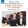 The Brahms Trio - History of the Russian Piano Trio,Vol.3