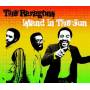 Paragons - Island In The Sun