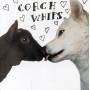 Coachwhips - Bangers Vs. Fuckers