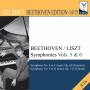 Idil Biret - Symphonien Vol.5+6